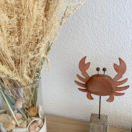 Appartement Les Sardines Bleues Pour 2 A 4 Vacanciers