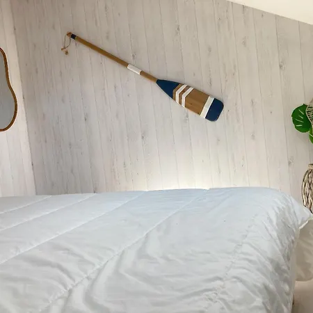 Les Sardines Bleues Pour 2 A 4 Vacanciers Appartement Carnac